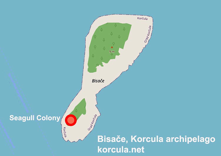 Bisače is the furthest islet in the Korcula archipelago