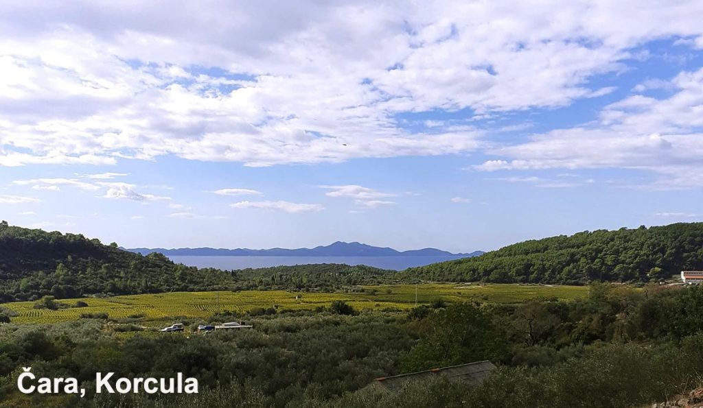 Čarsko Polje, views