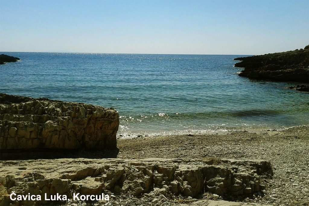 Čavica Luka