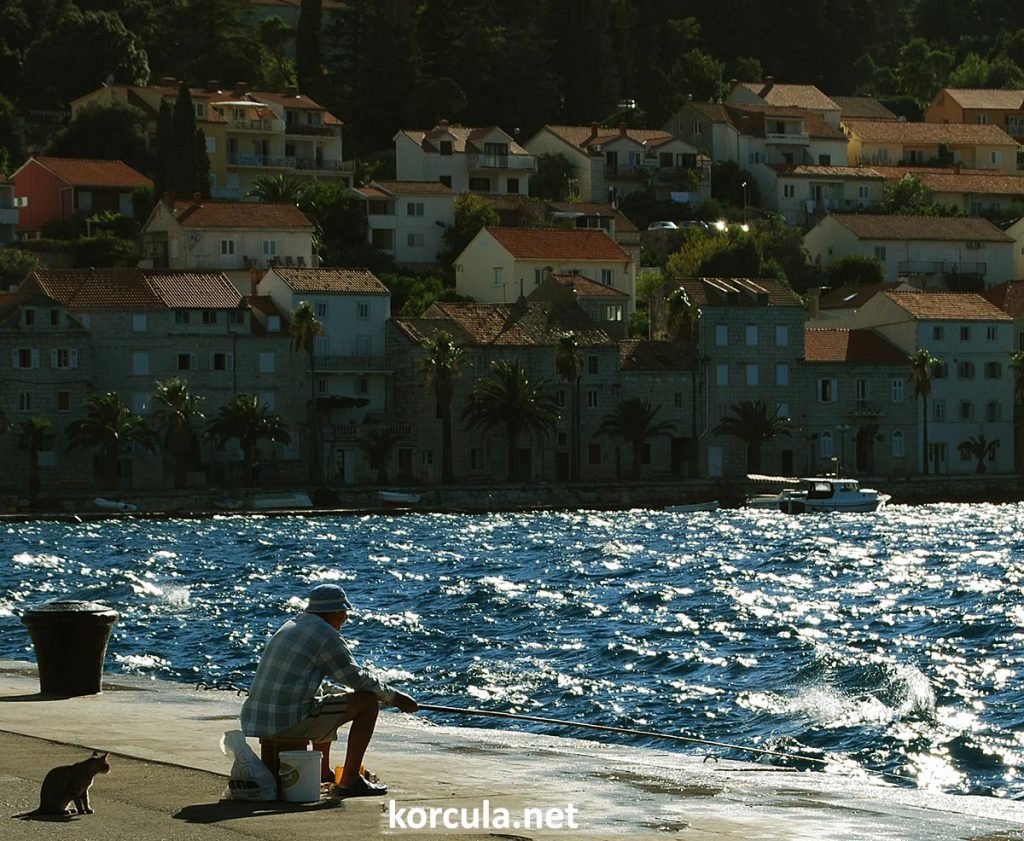 Photo: Fishing by a rod in the local port