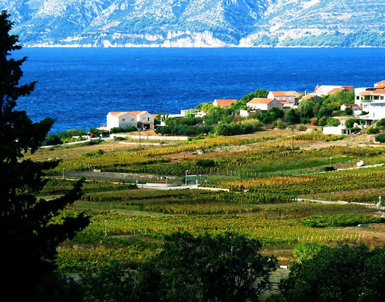 Grk vineyards