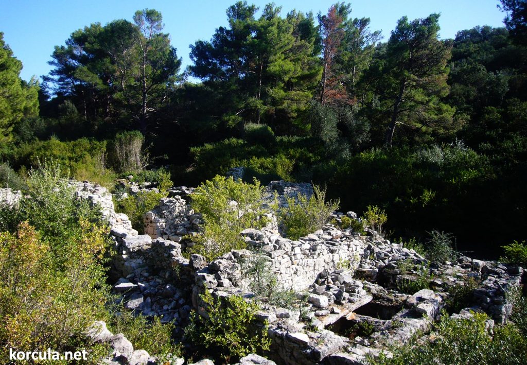 Remains of the abandoned settlement